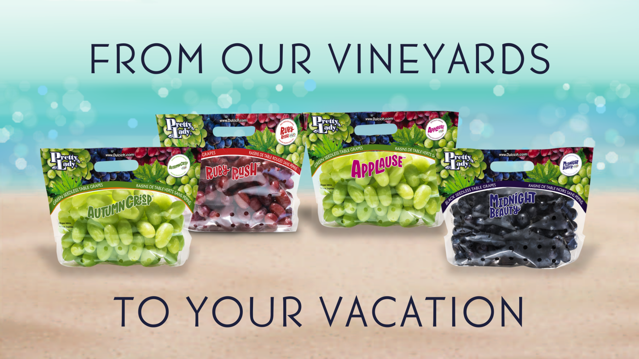 The Grape Vine - Pretty Lady Vineyards